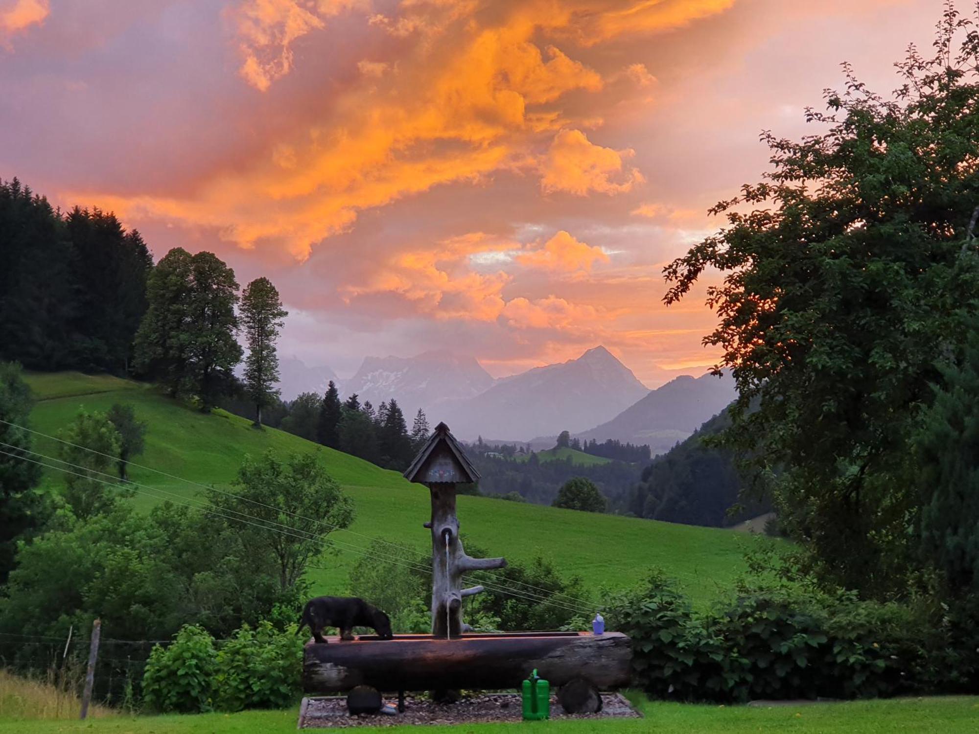 Biobauernhof Schoettelbauer Rosenau am Hengstpass Kültér fotó