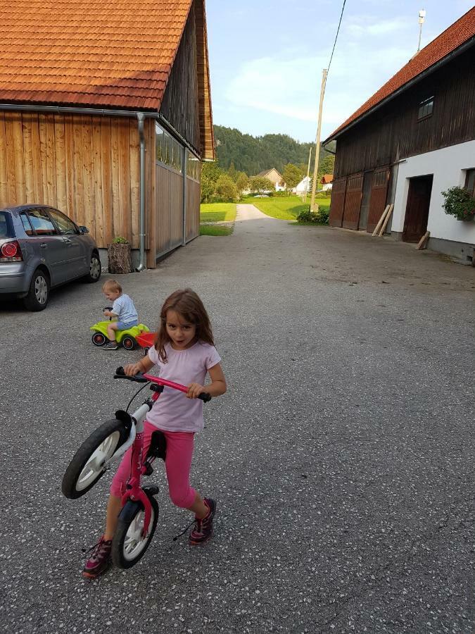 Biobauernhof Schoettelbauer Rosenau am Hengstpass Kültér fotó